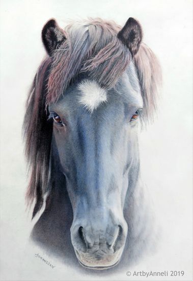 Blue horse colored pencil drawing