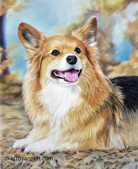 Corgi colored pencil drawing