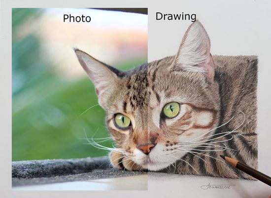 split photo showing drawing and photo