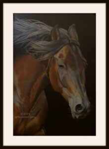 Bay horse colored pencil drawing