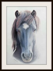 Blue horse drawing