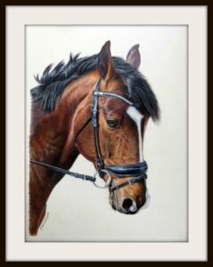 Brown horse drawing