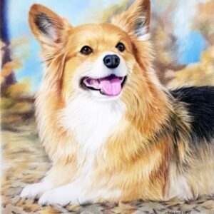 Corgi colored pencil drawing
