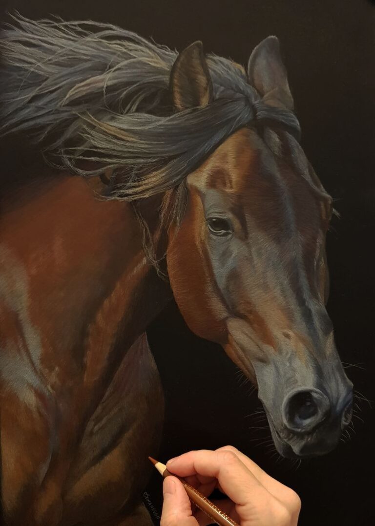 bay horse drawing