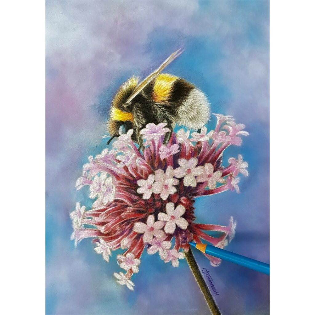 bumble bee colored pencil drawing