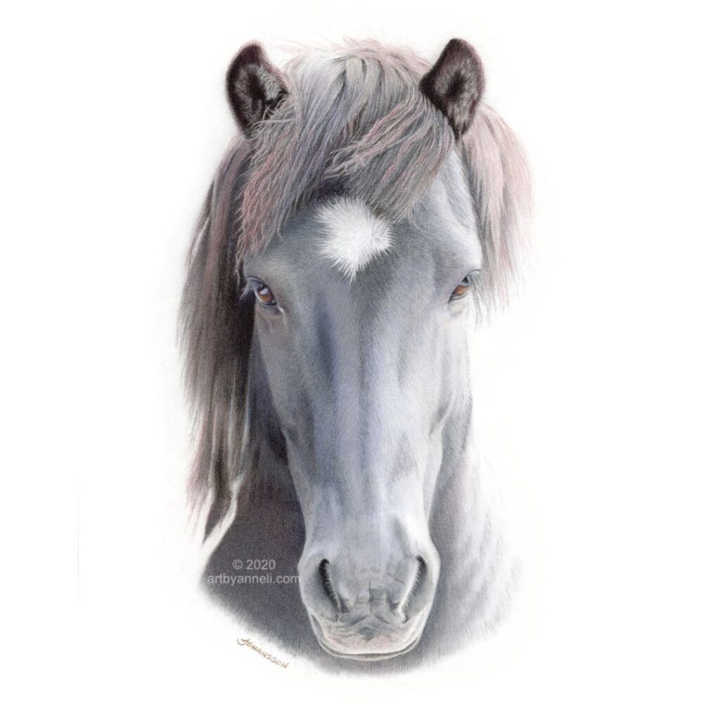 A blue horse drawing by anneli johansson