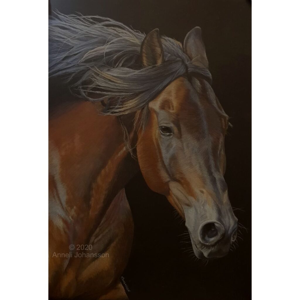A Brown horse drawing on black paper by anneli johansson