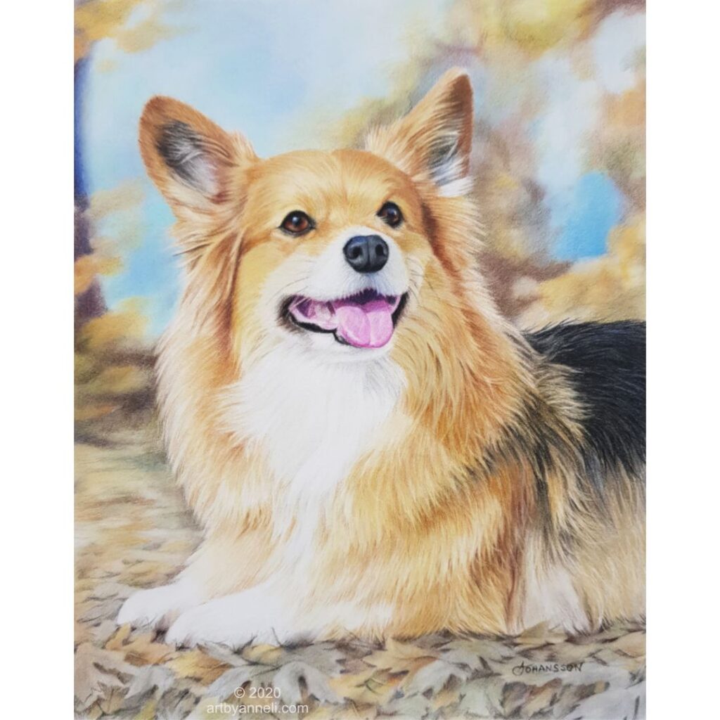 A corgi dog drawing by anneli johansson