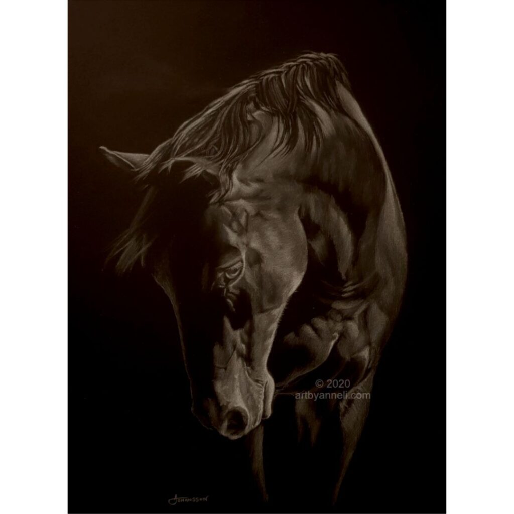 A black horse drawing on black paper by anneli johansson