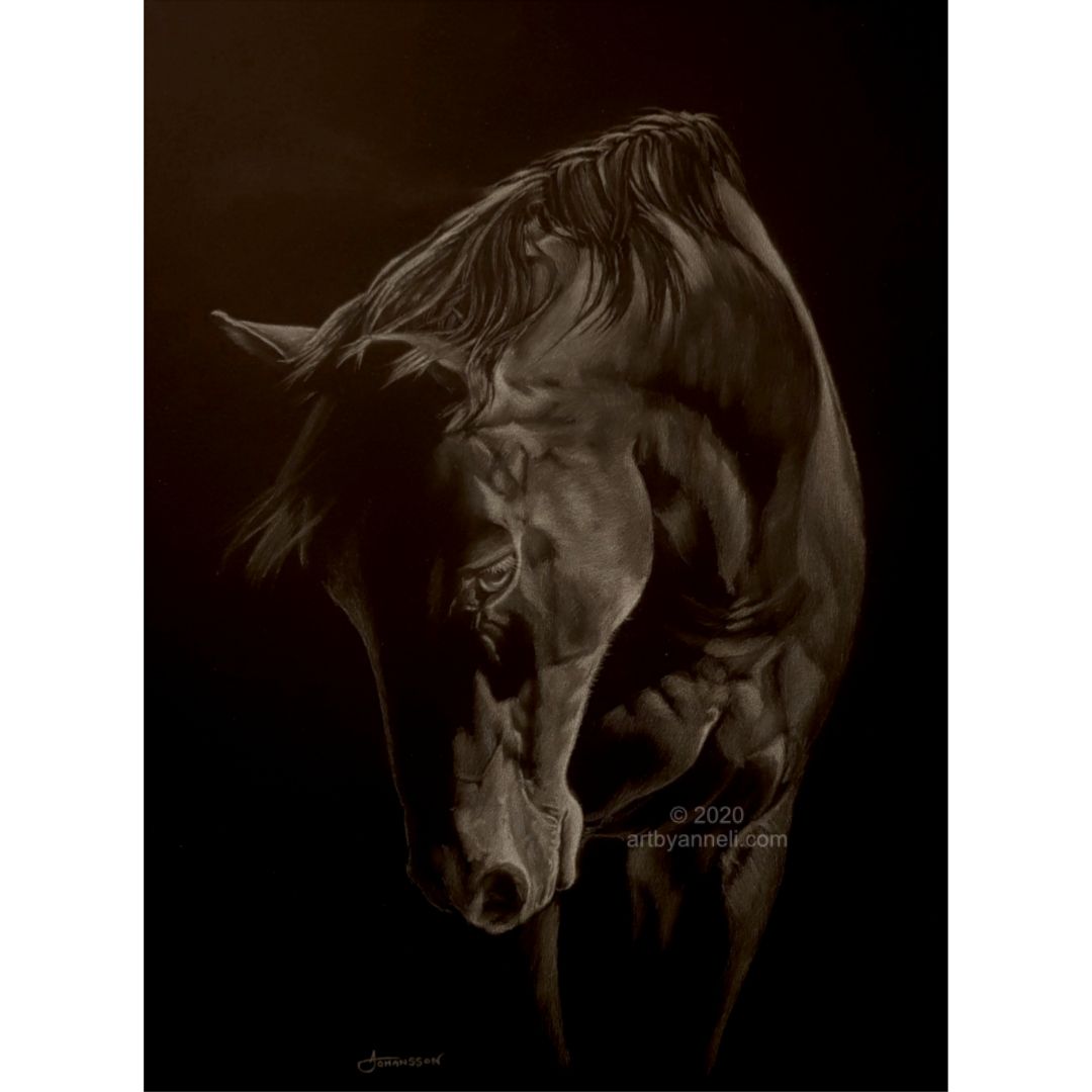 Horse portrait - colored pencils on black paper by Amayensis