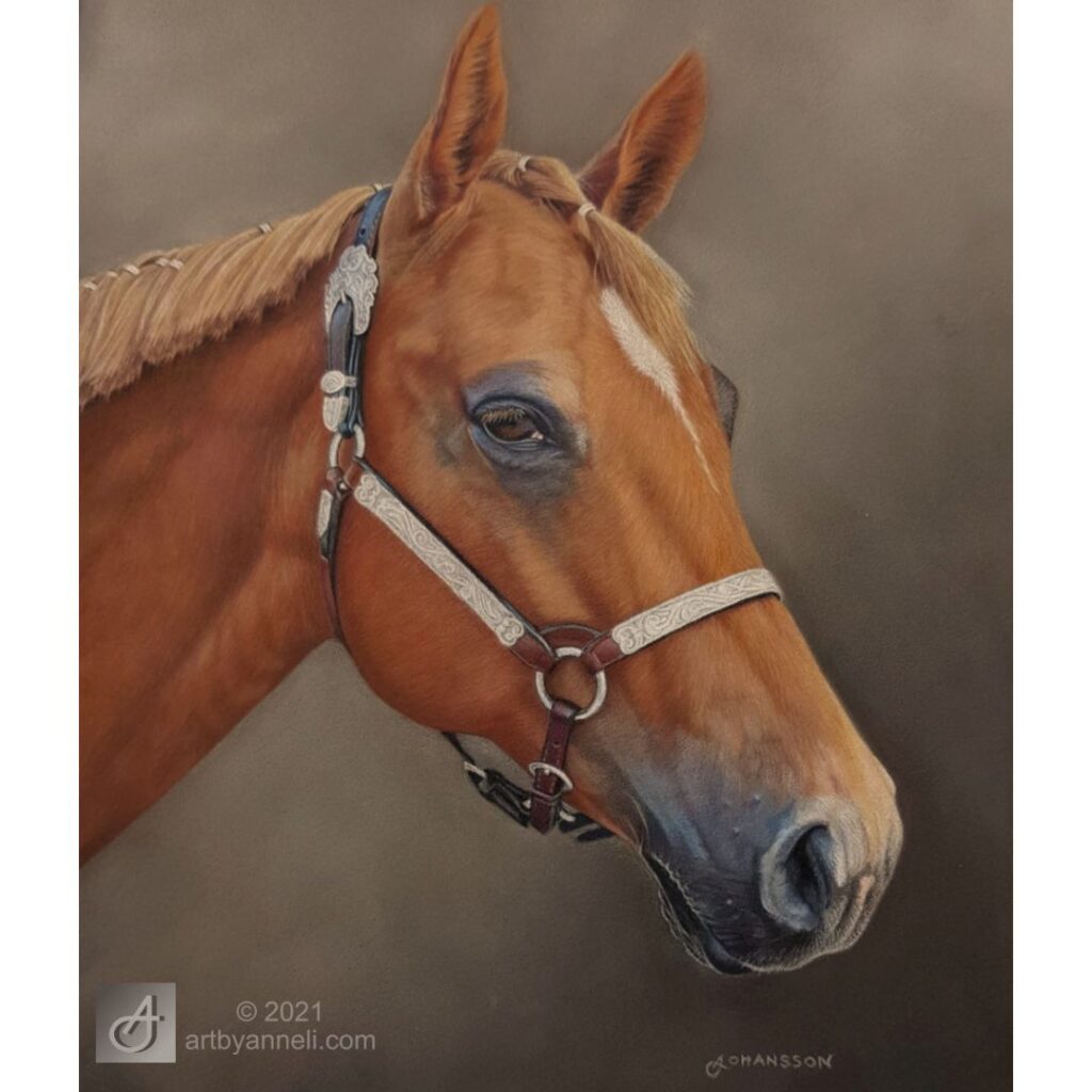 A sorrel quarter horse portrait with colored pencils
