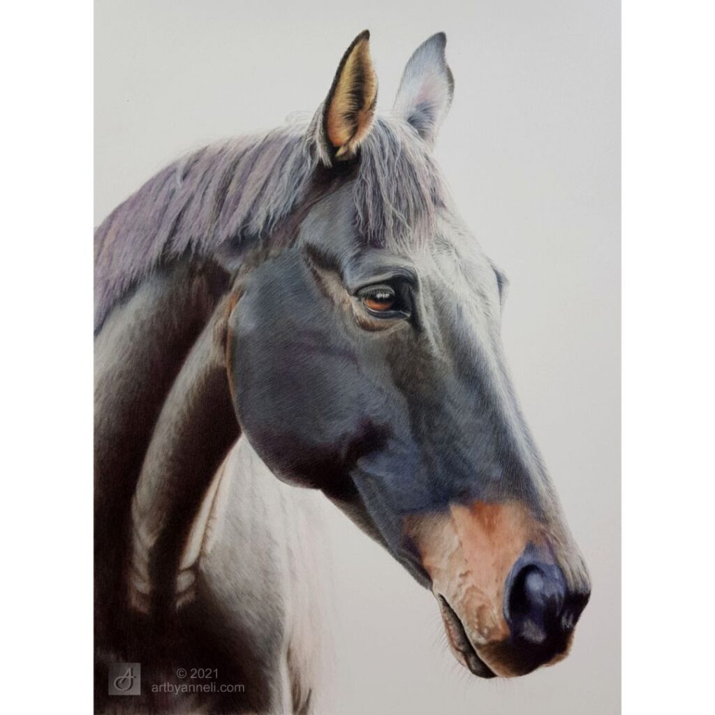 A horse drawing