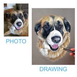 comparing colored pencil drawing vs photo