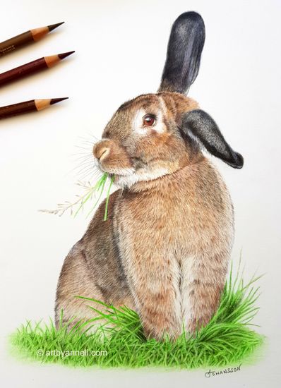 A rabbit portrait drawing painting